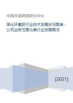 固化環氧膠行業技術發展狀況、業務范圍及北美市場概況